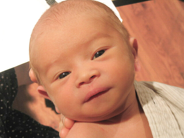 Newborn close-up